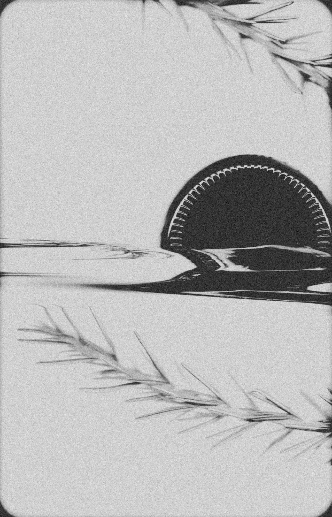 An experimental scan of wine and rosemary, stretched into abstract reflections